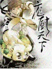 综艺片种图鉴配图，季播排期表格示意